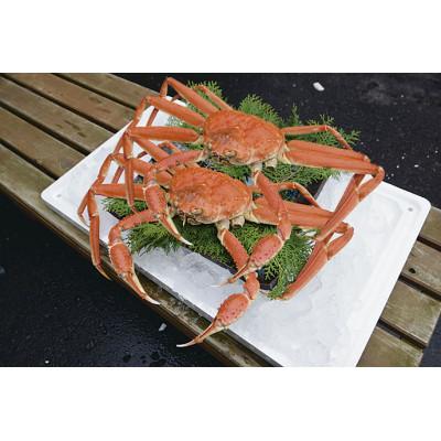 ふるさと納税 北栄町 鳥取県産ボイル松葉ガニ訳あり!2枚セット |  | 01