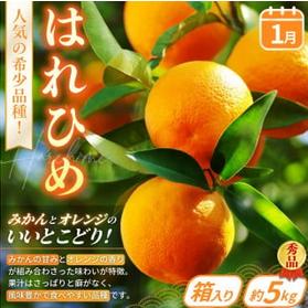 【定期便4回】旬の フルーツ定期便 / はれひめ みかん いちご まりひめ 桃 秀品 柿 種無し フルーツ 定期便 ふるーつ定期便 フルーツ 詰め合わせ 果物定期便 【kgr025】