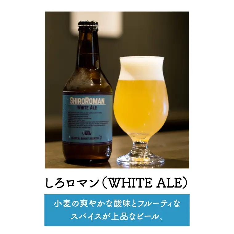 CO002-1 クラフトビール（赤沼ロマン）330ml×3本入