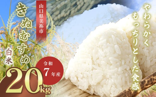 令和7年度産 新米 きぬむすめ 白米 20kg 先行予約 ＜ 2025年10月～より順次発送予定 ＞ ｜ 精米 新米 白米 米 雑穀 お米 コメ 単一米 きぬむすめ 絹娘  山口 美祢 秋吉台 20kg