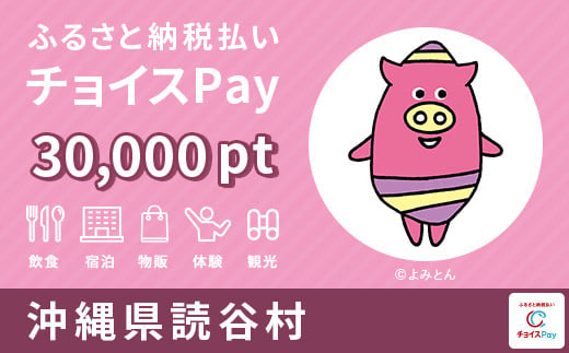 
読谷村 チョイスPay 30,000ポイント【会員限定のお礼の品】
