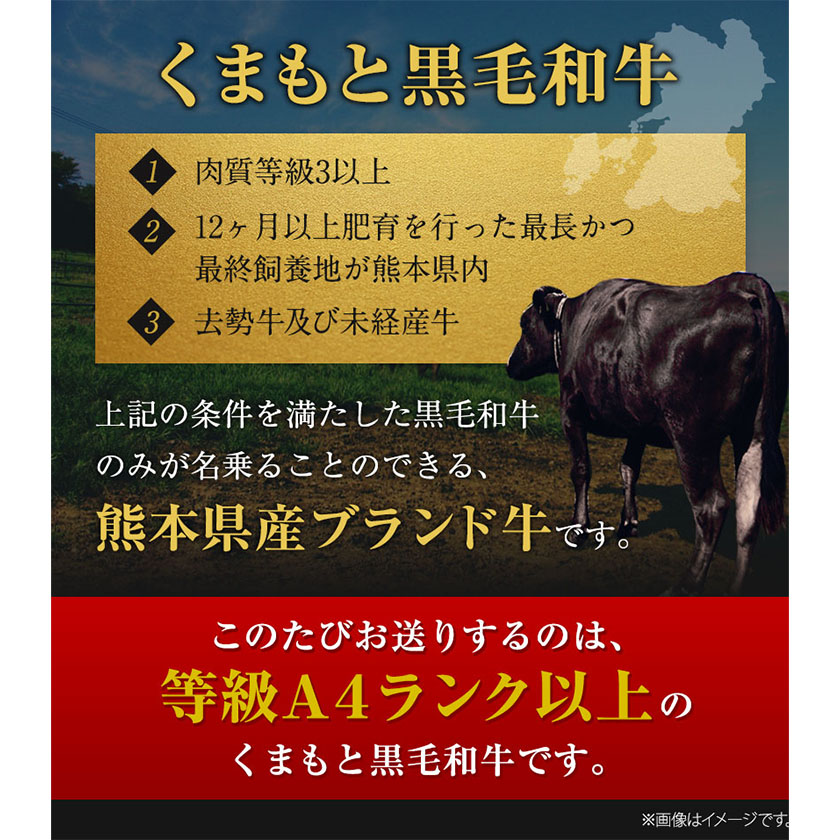 くまもと黒毛和牛 サーロイン リブロース 内モモ 希少部位 500g 牛肉 焼肉用 黒毛和牛 《90営業日以内に出荷予定(土日祝を除く)》---mna_fkgsrumky_90d_13000_500g