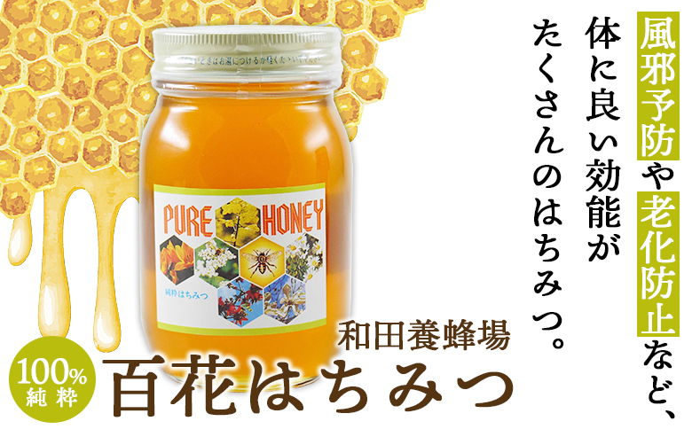 【数量限定】和田養蜂場 百花はちみつ(600g)１本 - 蜂蜜 ハチミツ ハニー 朝食 トースト おやつ デザート スイーツ アレンジ ティータイム 送料無料 高知県 香南市 wh-0003