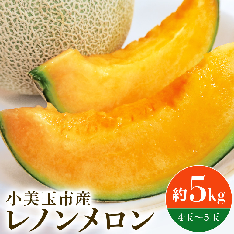 【数量限定・先行予約】 おみたまレノンメロン 赤肉 約5kg 4玉～5玉 秀品 メロン 赤肉メロン 高級 品種 果物 くだもの フルーツ ギフト 贈り物 贈答用 お中元 お祝い 内祝い 誕生日 記念日 プレゼント 父の日 母の日 デザート お見舞い お供え 国産 茨城 小美玉 【6月30日まで受付・6月以降順次発送予定】 52-A