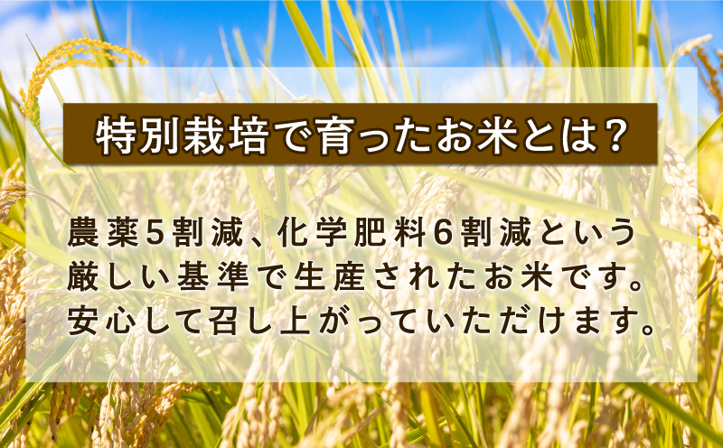 新米 定期便 3回 計30kg 先行予約 特別栽培米 三間米 コシヒカリ 10kg × 3回 伊勢本農園 特別栽培 米 お米 おこめ ごはん こめ コメ ※ kome 白米 精米 お弁当 ブランド米 