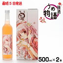 【ふるさと納税】梅酒　うめ物語　2本セット（DW-15）