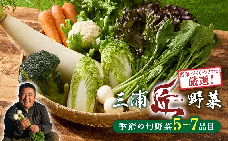 
                  三浦の匠野菜　M127-001
                