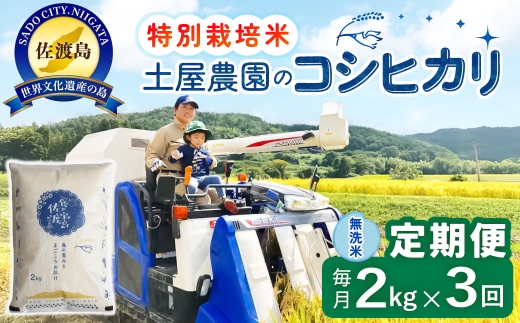 【定期便 令和8年産新米 3か月】 佐渡島産コシヒカリ 無洗米 2Kg 令和8年産新米 特別栽培米 土屋農園 | 新潟県産コシヒカリ 新潟産コシヒカリ 佐渡産コシヒカリ 新潟県産こしひかり 佐渡産こしひかり お米 米 こしひかり 無洗米 むせんまい 精米 おこめ コメ 2キロ にいがた さど 新潟県 佐渡市