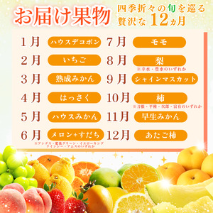 フルーツ定期便 12ヶ月 定期