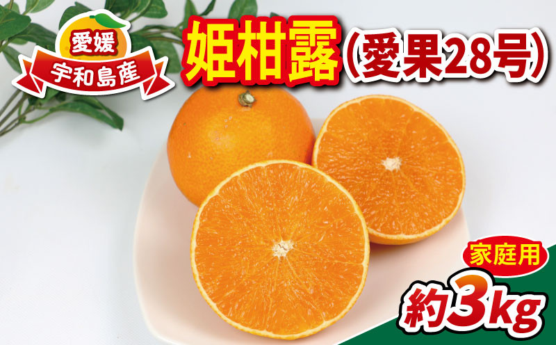 
                  【11月下旬～12月下旬発送予定】 愛果28号 3kg 家庭用 姫柑露 南四国ファーム 先行予約 mikan 高級 ブランド 限定 品種 甘い ゼリー プルプル 果物 くだもの フルーツ 柑橘 蜜柑 みかん 国産 愛媛 宇和島 産地直送 農家直送 数量限定  B013-035011
                