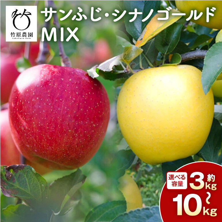 【ふるさと納税】サンふじ・シナノゴールドMIX りんご 選べる容量 3kg 5kg 10kg 101-0001-SKU
