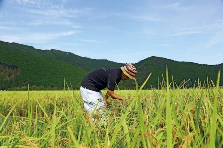 【新米】香りに感動の仁井田米！使い切り2合パック×9袋 【武吉米穀店イチオシ】／Btb-01 