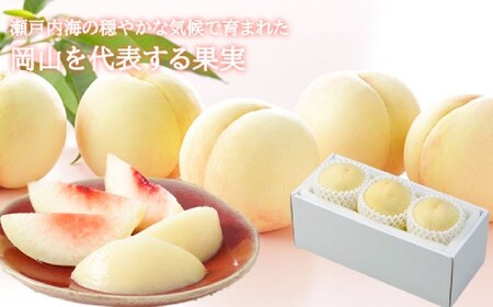 岡山白桃 ロイヤル3玉×約200g 計約600g 岡山県産 【2026年7月上旬～8月下旬まで順次発送予定】 モモ もも 桃 白桃 果物 フルーツ 岡山県 倉敷市