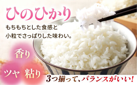 山鹿のお米 ヒノヒカリ 5kg×2【有限会社 あそしな米穀】[ZBI012]