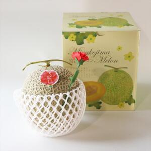 母の日ギフト 母の日メロン【特大１玉】｜沖縄・宮古島産（琉球マルシェ）