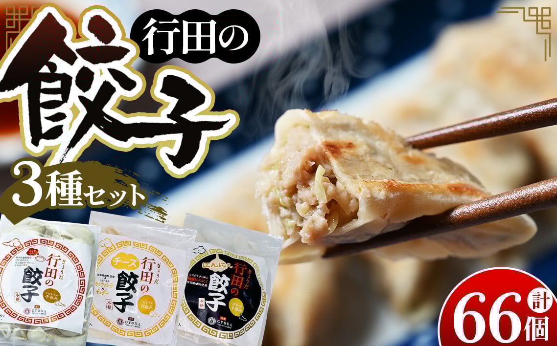 
            人気の定番「行田の餃子」3種セット ／ 餃子 3種セット 行田餃子 定番 大容量 肉野菜バランス 香ばしい 焼き餃子 蒸し餃子 冷凍 お取り寄せ おかず 家族用 食卓 アレンジレシピ 点心 パーティー ぎょうざ ギョウザ 埼玉県 No.417
          
