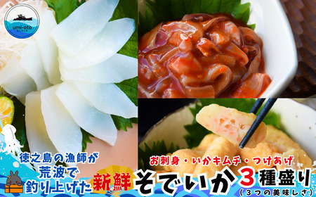 徳之島の漁師が荒波で釣り上げたそでいか 3種盛り お刺身・いかキムチ・つけあげ （ ３つの美味しさ ソデイカ いか イカ ）