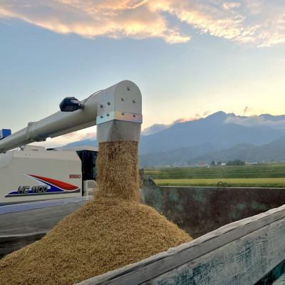 ふるさと納税 富良野市 令和7年産米　富良野産　栽培期間出来るだけ農薬を減らして作った　ゆめぴりか　10kg |  | 02