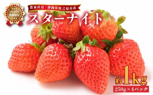 【 2026年2月中旬から順次発送 】いちご スターナイト 1kg 250g × 4パック 予約受付 期間限定 数量限定 苺 イチゴ ストベリー ベリー フルーツ スイーツ デザート くだもの 果物 果汁ストロベリー 甘い おいしい 国産 安心 濃厚 新鮮 フレッシュ 贈答用 プレゼント お歳暮 産地直送 農家直送 静岡いちご 静岡苺 牧之原いちご牧之原苺 静岡県 牧之原市 有限会社ヤマセン