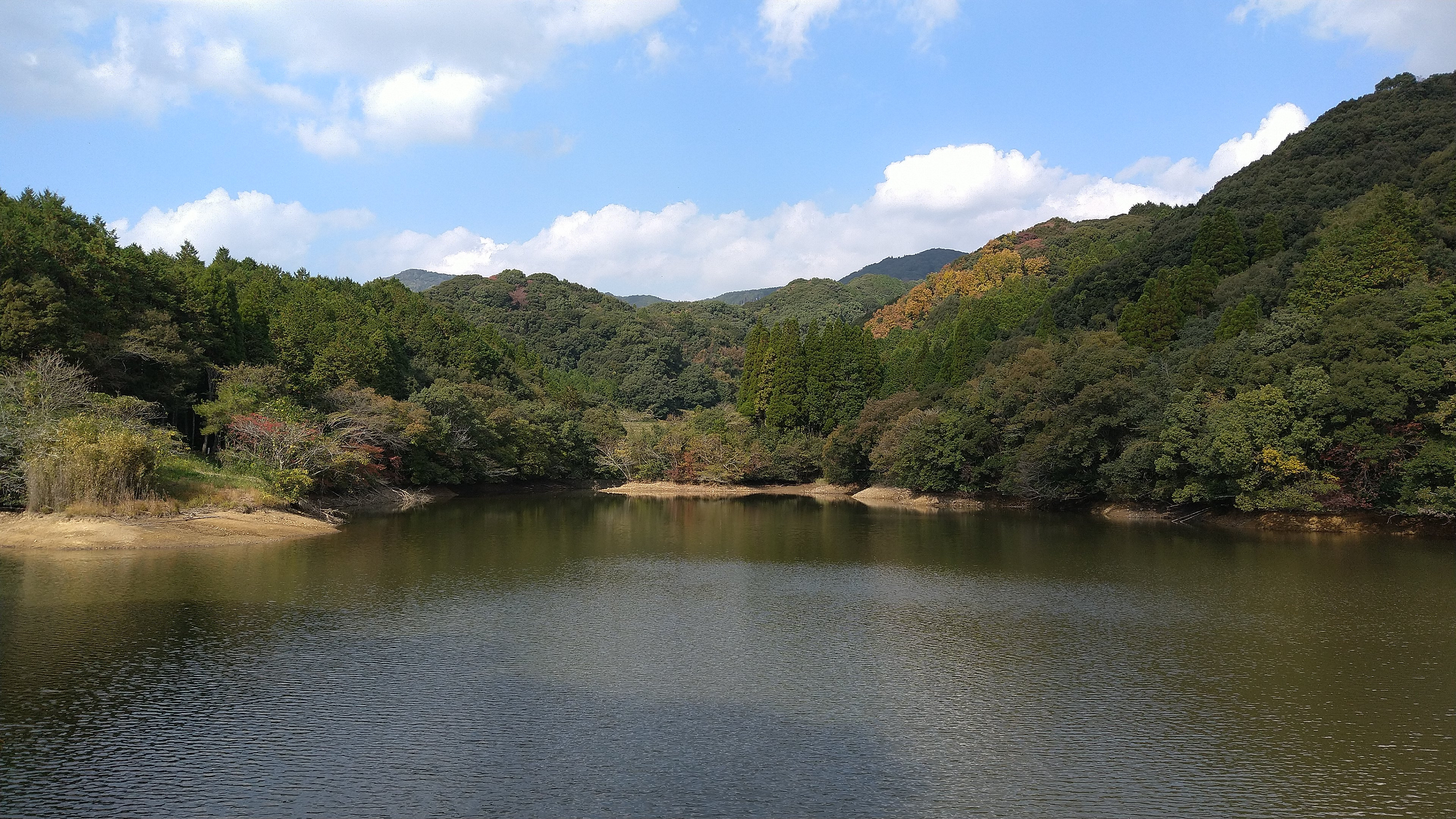豊かな自然に囲まれた江口農園