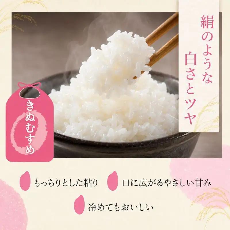 【令和8年産】 先行予約 新米 きぬむすめ 5kg 3回定期便 令和8年産 定期便 米 精米 こめ コメ お米 ご飯 米 キヌムスメ 米定期便 3か月定期便 3ヶ月定期便 3回 3ヶ月 3か月 滋賀県