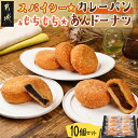 【ふるさと納税】 スパイシー☆カレーパン＆もちもち☆あんドーナツ10個セット - カレーパン あんドーナツ 各100g×5個 2種類 5個ずつセット おやつ 送料無料 12-F703【宮崎県都城市は2年連続ふるさと納税日本一！】