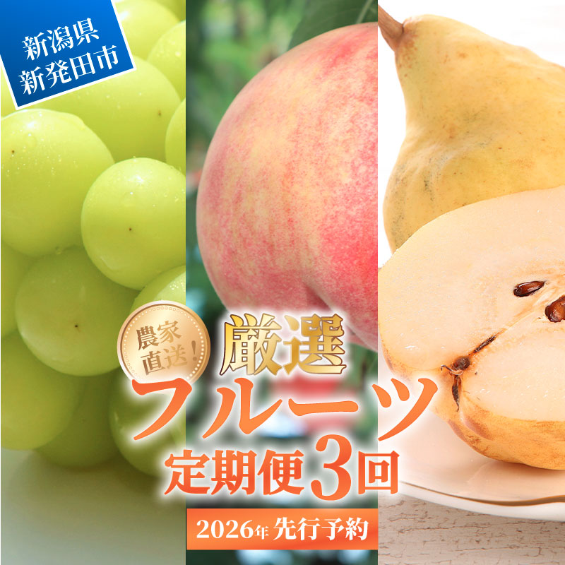 2026年発送 先行予約 果物 定期便 全3回 シャインマスカット 桃 ルレクチェ 洋ナシ ル・レクチェ ぶどう くだもの フルーツ 新潟 新発田 髙橋農園　takahashi004