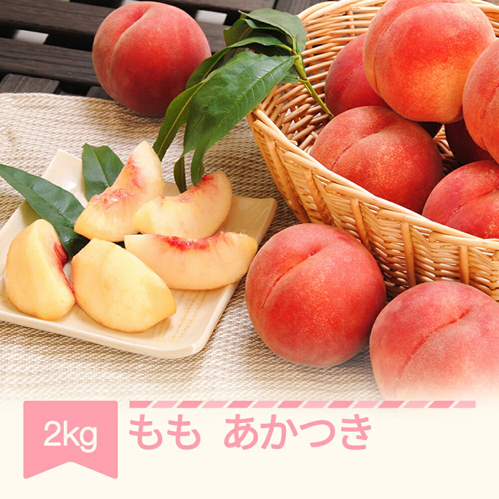 【ふるさと納税】先行予約 もも 桃 あかつき 約2kg 令和7年産 2025年産 山形県産 果物 送料無料※沖縄・離島への配送不可