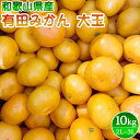 【ふるさと納税】【限定】 【先行予約】ご家庭用　有田みかん 大玉(2L,3Lサイズ混合) 10kg