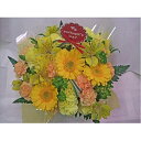 【ふるさと納税】【 オンライン決済限定 】 先行予約 母の日 カーネーション アレンジメント イエロー 花 贈り物 お祝い 植物 季節 生花 フラワー ギフト 2025年5月から順次発送 静岡県 藤枝市
