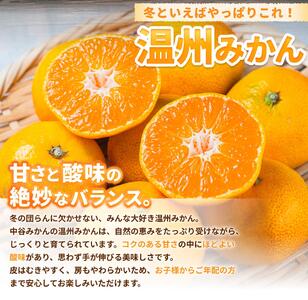 温州みかん 10kg 2S～2Lサイズ混合 11月発送※2026年11月中旬頃～11月下旬頃に順次発送予定 【nktn004-r-10-nov】 