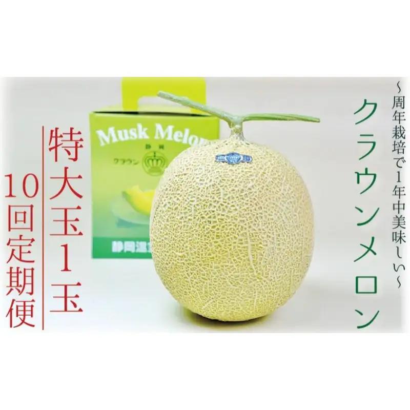 クラウンメロン マスクメロン 白等級 特大玉 青肉 クラウンメロン【1玉】【10ヶ月定期便】