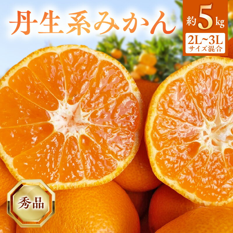 【ふるさと納税】【2026年先行受付】 【高糖系】 越冬本貯蔵 丹生系 みかん 秀品 2L～3L 約5kg 【有田みかん 柑橘 和歌山 蔵出し 貯蔵みかん 大玉】