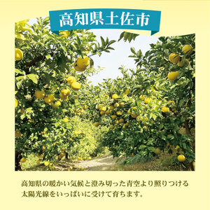 【先行予約】土佐文旦 訳あり 10kg (M～5L) 文旦[BQAE032]