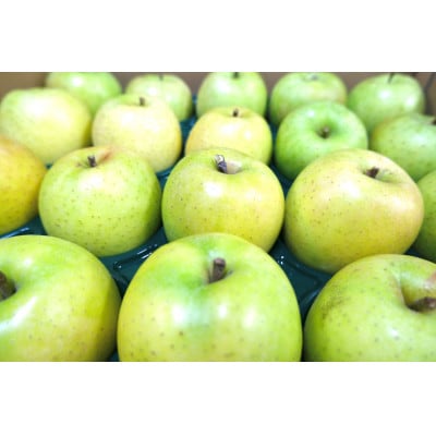 【25年12月より順次発送】平均糖度13度以上! 王林 約5kg 訳あり【配送不可地域：離島・沖縄県】