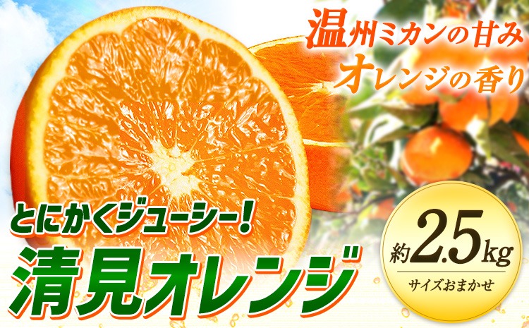 ＜先行予約＞とにかくジューシー 清見 オレンジ 2.5kg 株式会社魚鶴商店《2026年3月下旬-4月中旬頃出荷》和歌山県 日高町 柑橘 果物 フルーツ 清見オレンジ---wsh_uot134_3g4c_25_10000_2500g---