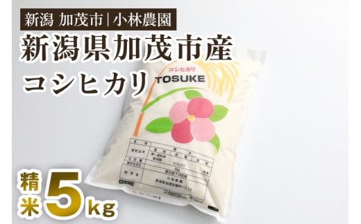 【9月中発送可】 【令和6年産新米】加茂市小林農園のコシヒカリ 5kg（5kg×1袋）新潟産コシヒカリ お米 精米 料亭や割烹でも愛される従来品種 加茂市 小林農園