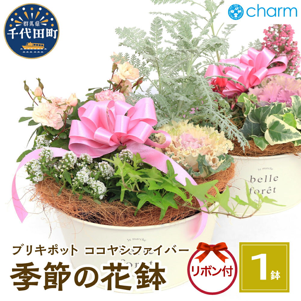 【ふるさと納税】季節の花鉢 ブリキポット ココヤシファイバーVer リボン付き (1鉢)群馬県千代田町 花苗 インテリア ナチュラル かわいい リラクゼーション 室内栽培 プレゼント ギフト お祝い 送料無料 ライフスタイル 人気 オススメ 初心者 株式会社チャーム