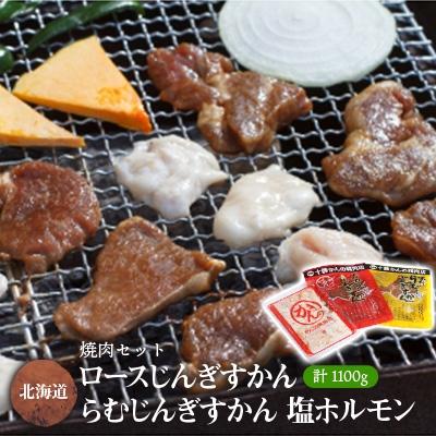 ふるさと納税 帯広市 焼肉セット (じんぎすかん2種、塩ホルモン)  計1.1kg 十勝 ジンギスカン ホルモン セット