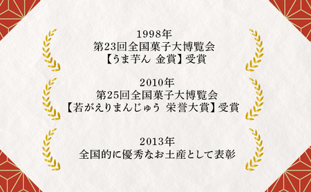 大正五年創業［お菓子の泉榮堂］黒いべ 10個入 若がえりまんじゅう第2弾 竹炭×黒ごま餡 濃厚なコク 漆黒のおまんじゅう【 和菓子 まんじゅう お菓子 スイーツ 秋田 羽後 】