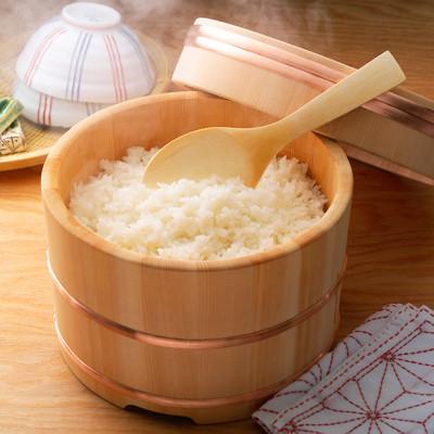 ふるさと納税 小千谷市 【2ヵ月毎定期便】魚沼産コシヒカリ 精米 5kg全6回 |  | 01