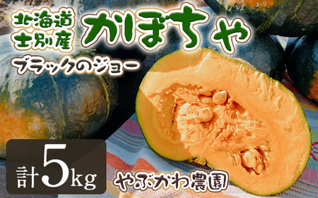 【A7091】＜先行予約受付中・期間限定＞北海道士別市産 かぼちゃ ブラックのジョー (5kg・2~4玉 ) 【2025年10月から12月の間に順次発送】かぼちゃ 南瓜 カボチャ 北海道産 国産 野菜 やさい 甘み 産地直送 おかず 味覚の秋【やぶかわ農園】