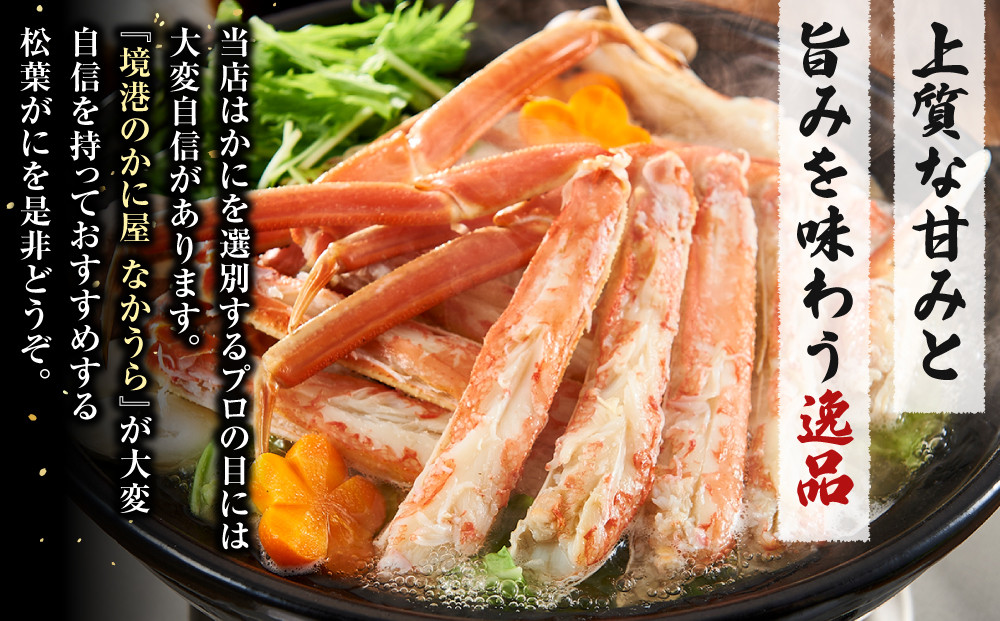 境港産松葉がにボイル姿タグ付き　計1kg（中サイズ2枚）