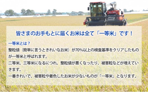 【先行受付】令和8年産 ななつぼし15kg(5kg袋×3個)北海道  特A 精米 米 白米 ご飯 お米 ごはん 国産 ブランド米 おにぎり ふっくら 常温 お取り寄せ 産地直送 農家直送 送料無料 月