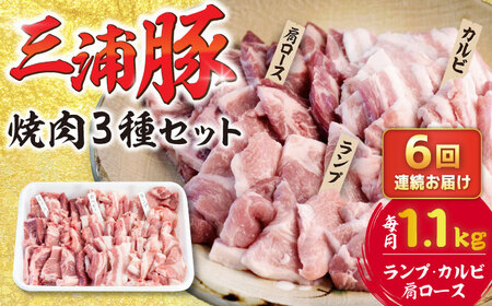 【6回定期便】 豪華 三浦豚 1.1kg 焼肉セット 肩ロース カルビ ランプ / 恵那市 / あづま精肉店 [AUDL019]