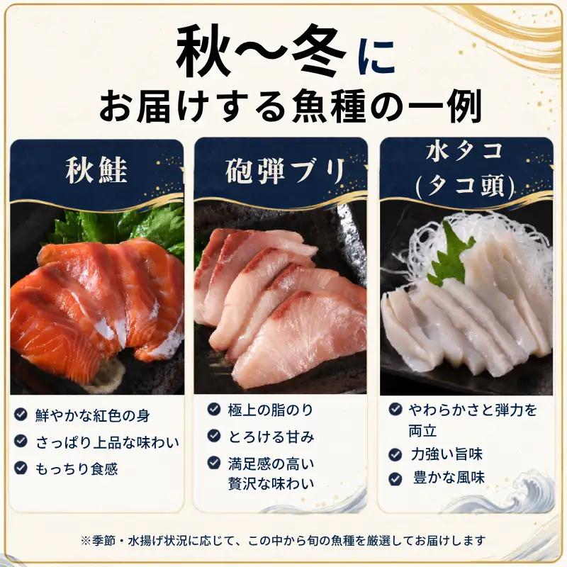 刺身セット 3~4人前 刺身 【AK】