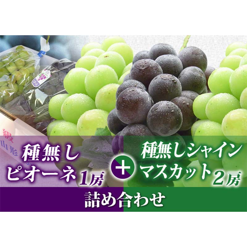 【ふるさと納税】【令和8年先行受付】シャインマスカット・ピオーネ 詰め合わせ 1.8kg（計3房） ぶどう 果物 フルーツ FSY-2105