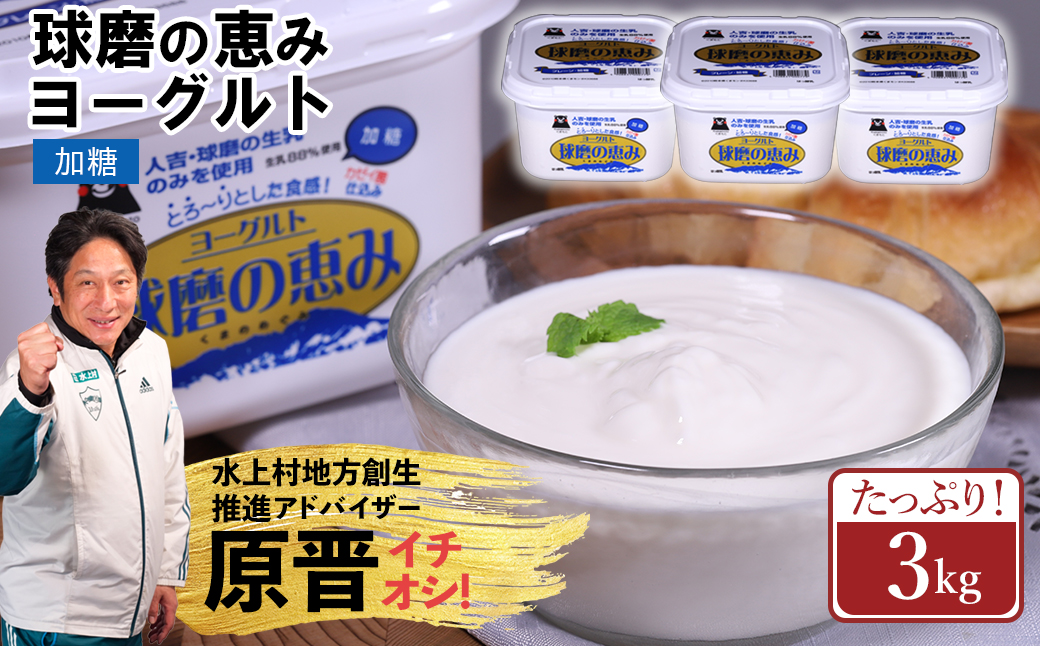 球磨の恵み ヨーグルト 加糖 6kg まとめ買い 大容量 熊本県 水上村