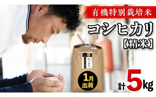 令和8年産 ＜ 1月出荷 ＞ 精米 5kg 三百年 続く農家 の 有機特別栽培米 コシヒカリ 有機栽培 農創 米 こめ コメ ごはん ご飯 精米 白米 国産 茨城県産 おいしい 新生活 プレゼント 新生活応援 必要なもの 便利 おすすめ 消耗品 一人暮らし 二人暮らし 必要