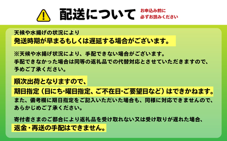 北海道室蘭産 塩水キタムラサキウニ （100g×3パック）【翌年（2026）/7～9月中順次発送】 MROBQ003 | ウニ